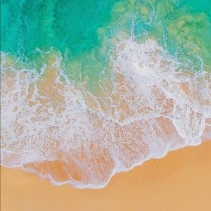 Meet your Posher, Lili